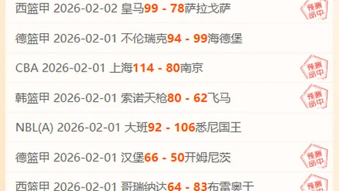 津门虎邀新援加盟，内援试训助力新成员融入