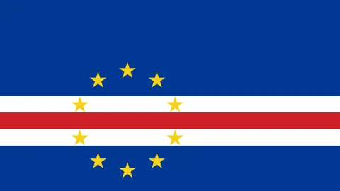 非洲杯征程，喀麦隆战神巴莱巴里尔梦想荣耀之光